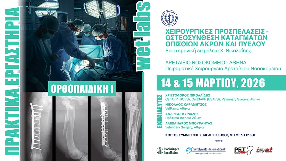 Ορθοπαιδική I Χειρουργικές προσπελάσεις-Οστεοσύνθεση καταγμάτων οπισθίων άκρων και πυέλου, 14 & 15 Μαρτίου 2026, Αρεταίειο Νοσοκομείο