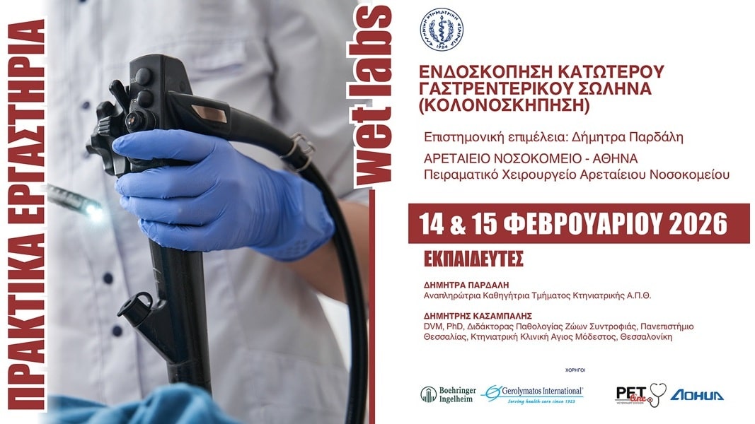 14 & 15 ΦΕΒΡΟΥΑΡΙΟΥ 2026_1000τελικό