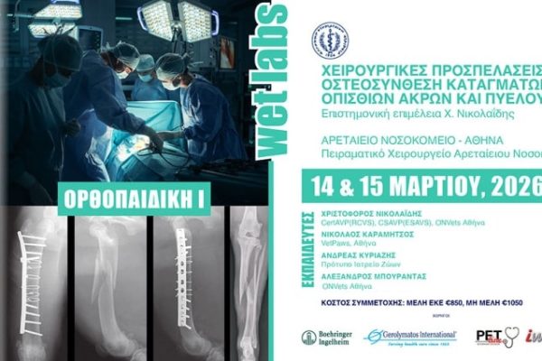 40_14 & 15 ΜΑΡΤΙΟΥ 2026_1323x563