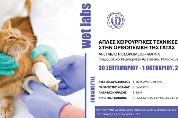 WET-LABS-ορθοπεδική-γάτας_banner-final770