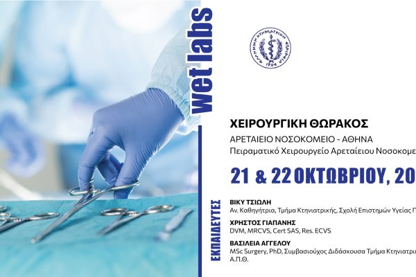 WET-LABS-χειρουργική-θώρακος_banner-final